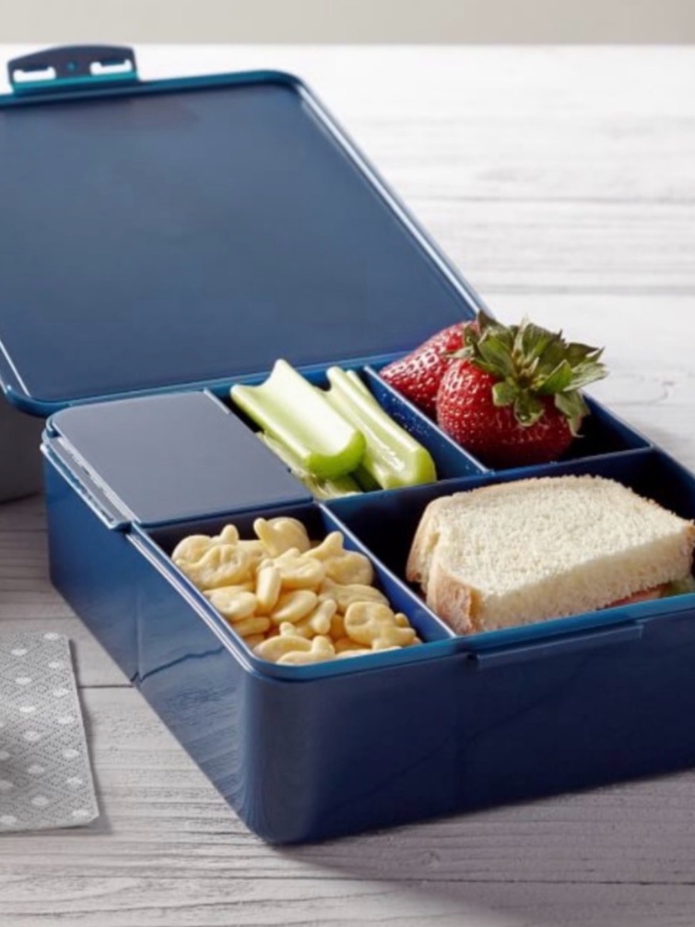 Pottery Barn Kids Bento Box in Navy Blue